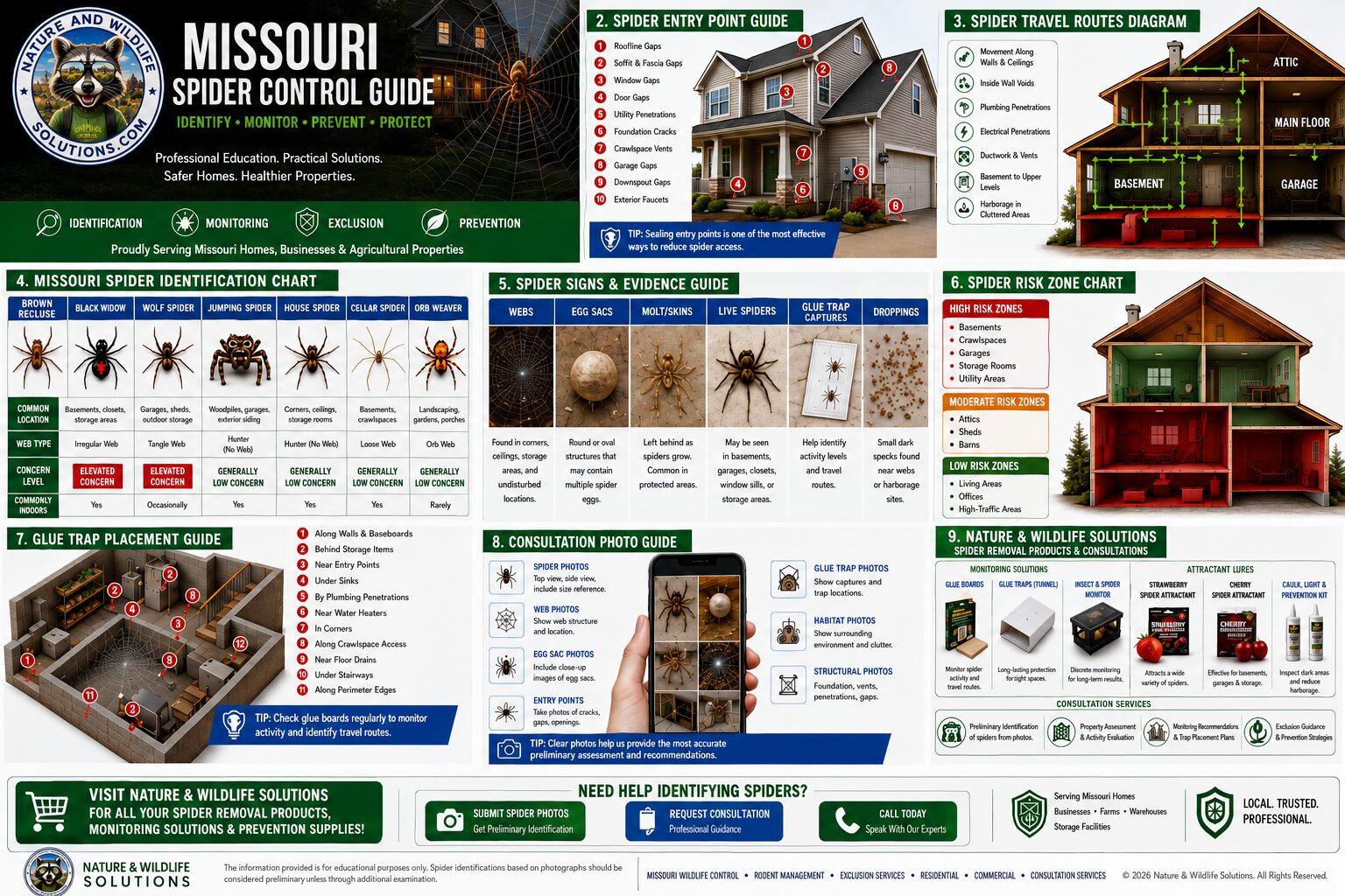 Missouri spider control infographic showing common spiders, entry points, travel routes, risk zones, glue trap placement, signs of spider activity, and consultation services from Nature & Wildlife Solutions.